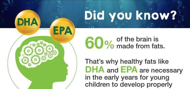 黄芪|7大提高智商的营养食物,除了多吃鱼,还有多吃这些食物