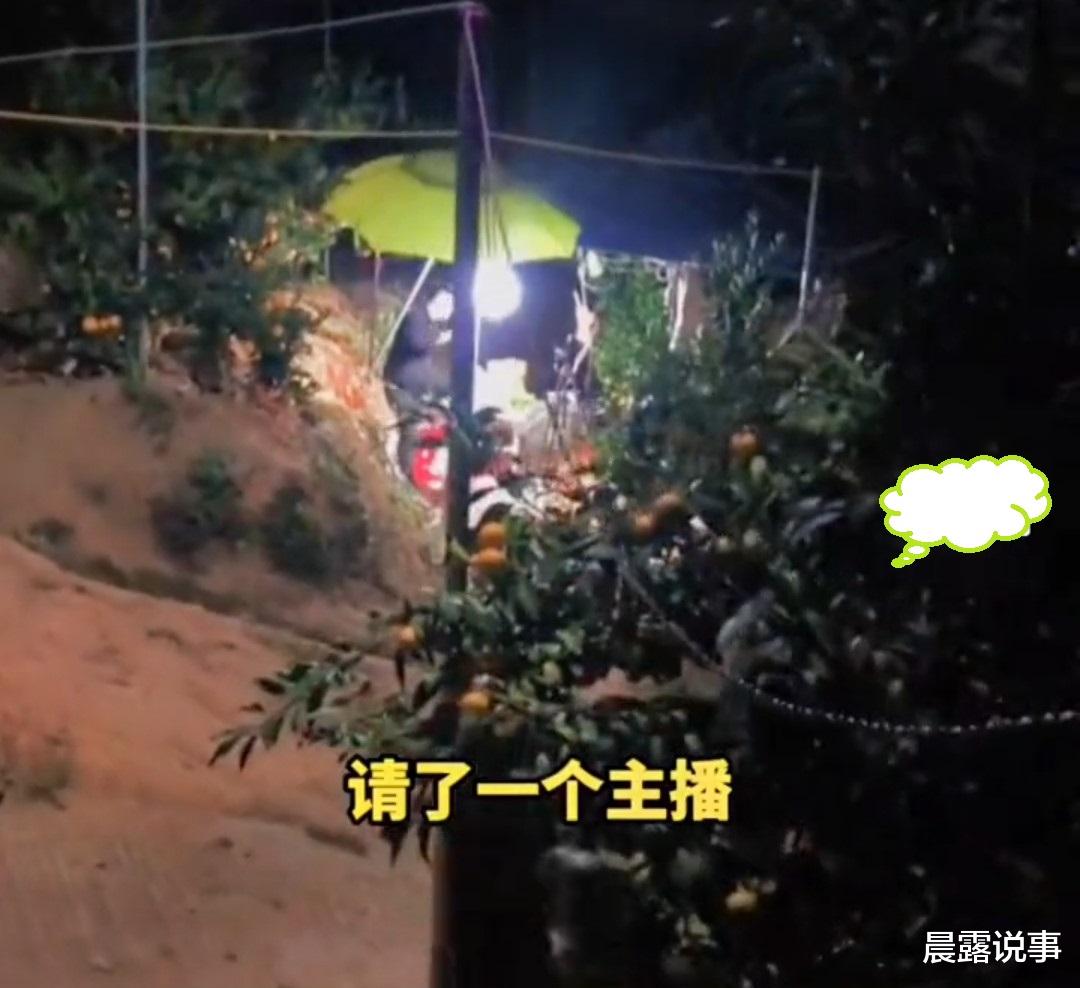 江西:男子花3万请网红卖橙子,两小时卖4单,还有3单是托!