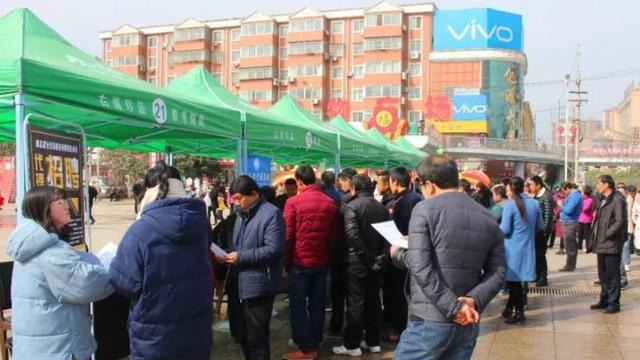 招聘|“这种硕士学历我们不招”，留学生国内求职遭拒，网友道出关键