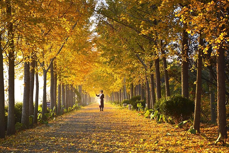 摩羯座|摩羯座五月运势