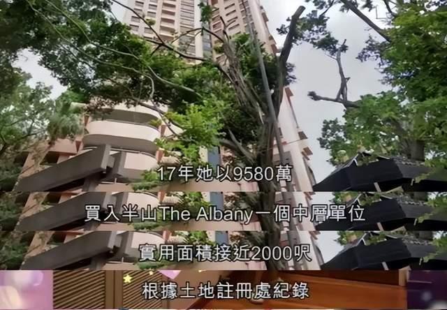 许嵩|孙佳君：与周星驰传绯闻，被疯癫男友嘲“胸大无脑”