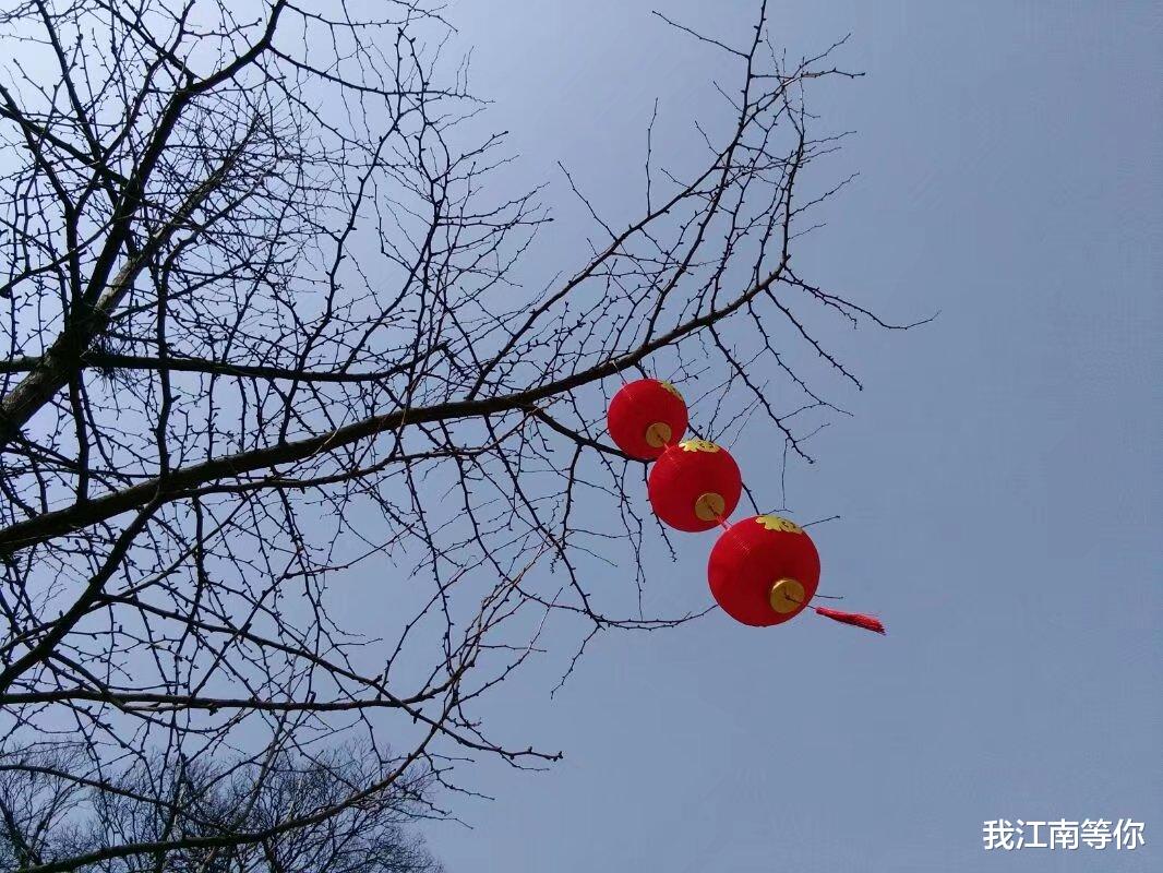 |那一年,我做了老板的女司机后,才明白老板为什么经常换司机