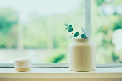 |夏天|我心中的一抹芳香,一阵清新