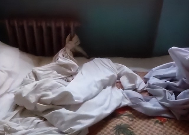 王萍|2013年7岁男孩输液中突然去世,2小时后主治医生也坠楼身亡