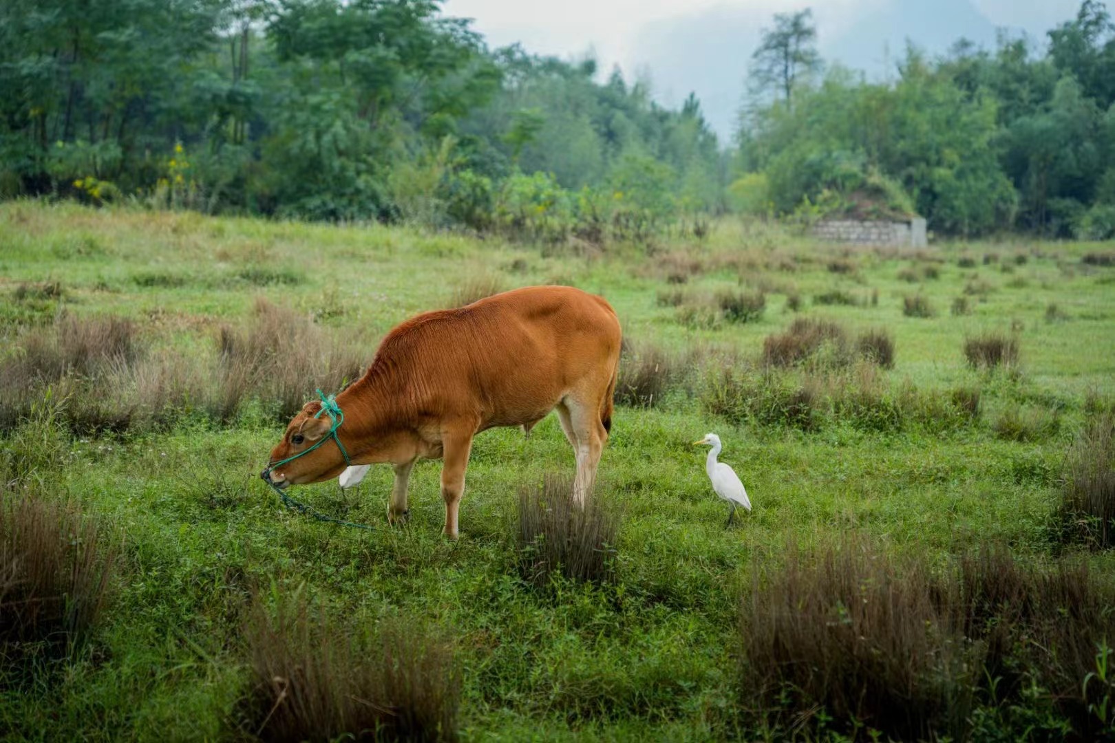 灵山|宁波自驾游攻略,不可错过的沿途六大美景,让你开启一场赏秋之旅