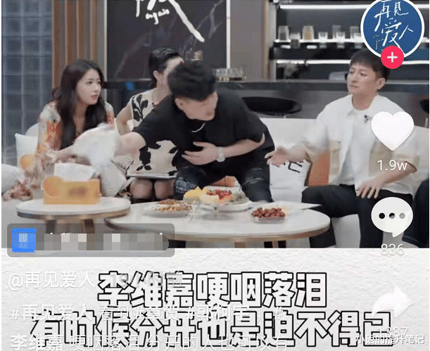 李维嘉|李维嘉大半年没出来,网传遭遇封杀,芒果卫视除名