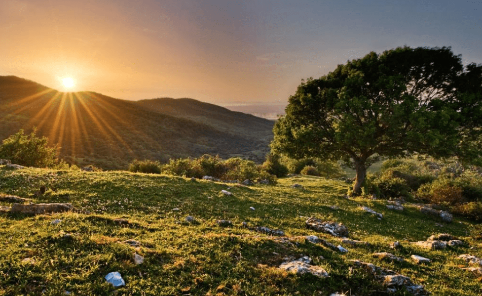 网络主播|上班族副业推荐,副业赚钱有哪些项目, 可发展的长期副业项目