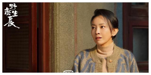 赵丽颖|赵丽颖再出“王牌”,大女主创业剧被央视点名预热,引人期待