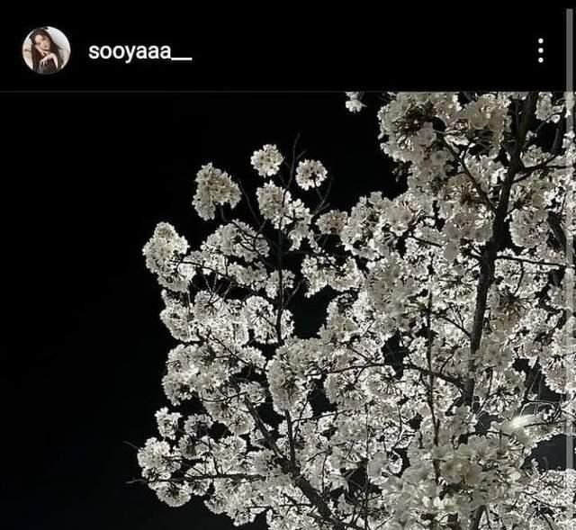 丁海寅|智秀-丁海寅恋爱传闻再起？是地下恋吗；IVE为何大部分是妈妈粉？