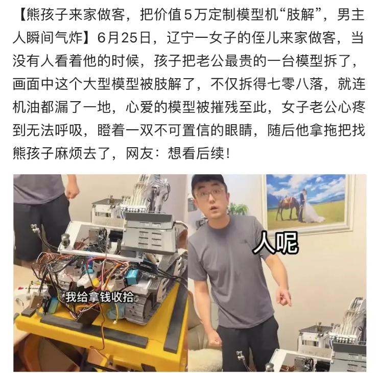 近日,辽宁,熊孩子来家做客,把男子价值5万元定制的模型机给拆了