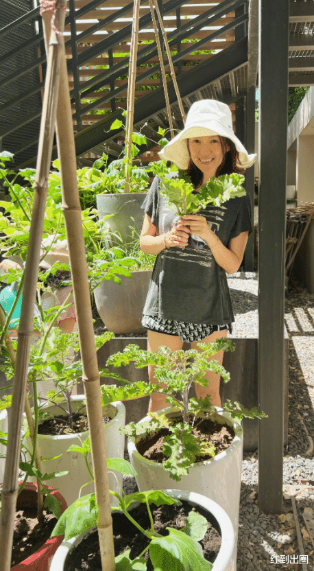 章子怡|章子怡在家素颜带娃，穿热裤罕见露出细白腿，豪宅内超大菜园曝光