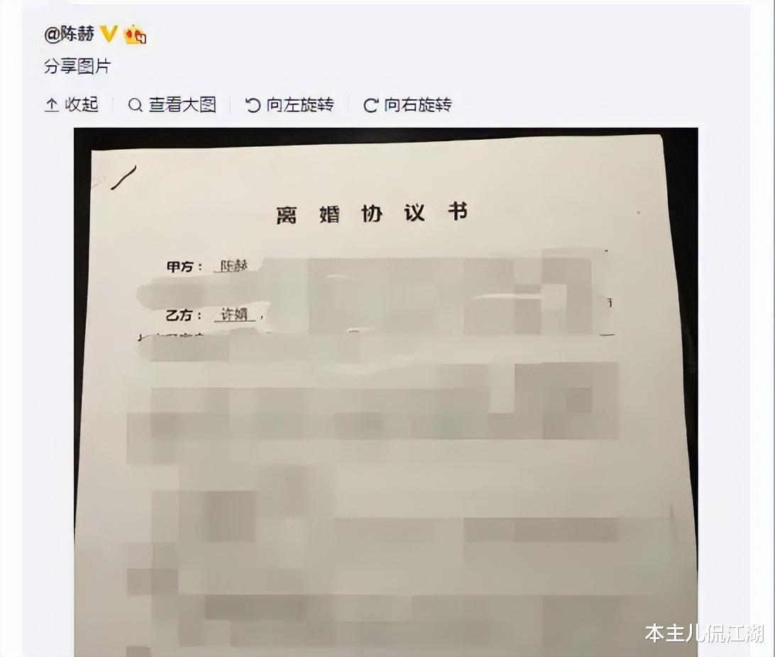 陈赫|挤走原配嫁陈赫,为摆脱狱中前夫花300万,张子萱不简单