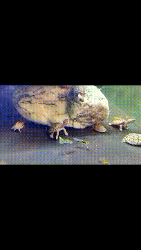 结婚时请了3个伴娘,发现这婚可能结早了...总要给别人留点机会啊