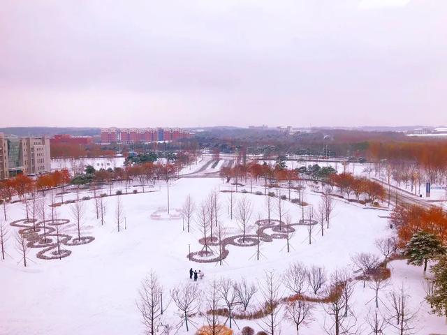 |城市画册｜这里是沈北·珍宝篇