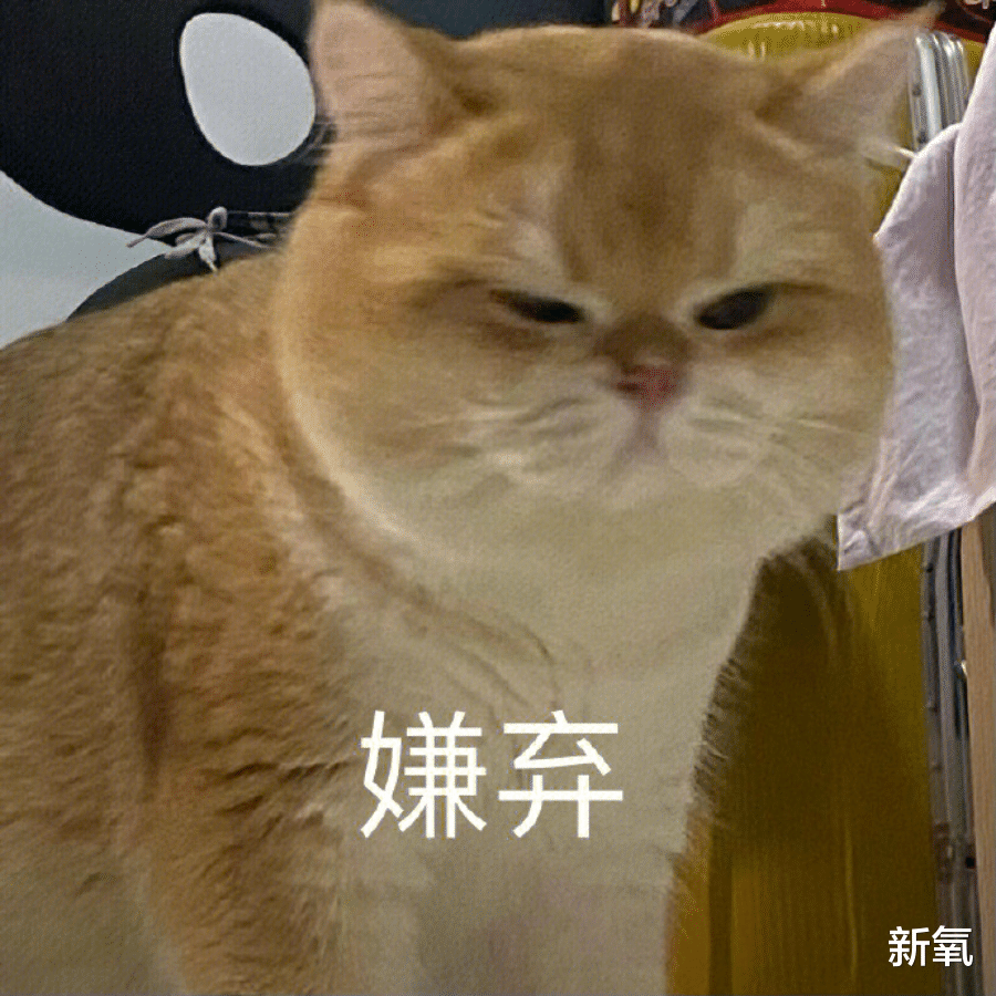 朱之文|被冤枉了十几年，她终于肯站出来为自己说话了…