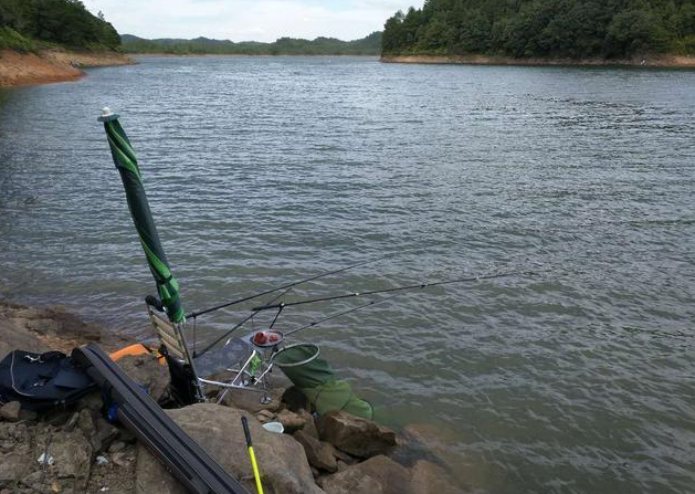 |上市公司研发钓鱼辅助设备,为鱼获而钓鱼,这种高科技能接受么?