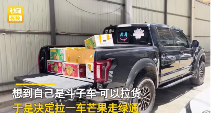 西藏|聪明绝顶！男子自驾西藏返程嫌过路费太贵，就拉了12箱芒果走绿通