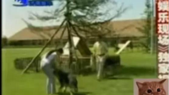 刘亦菲|导演酒局称刘亦菲“扬州瘦马”，黑料缠身，被杨采钰拍电影讽刺