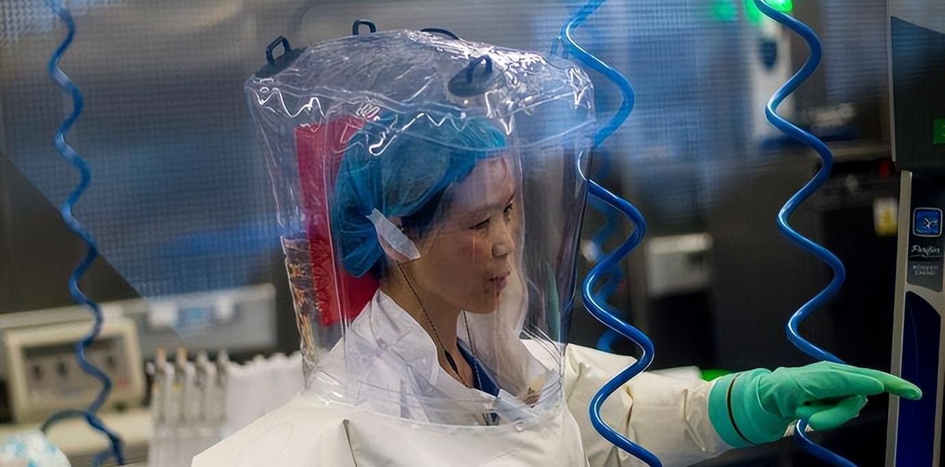 石正丽:新冠病毒源头难觅,是自然对人类惩罚,与实验室没有关系