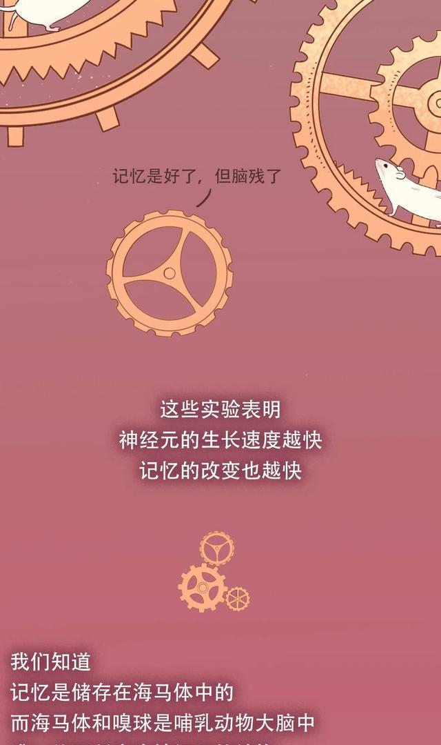 删除|你两岁之前那些“羞羞”的记忆，到底被谁“删除”了？（漫画）