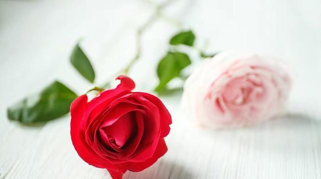 卖房资助儿子反被赶,孙女一番话,儿子当场认怂,我却泪流满面