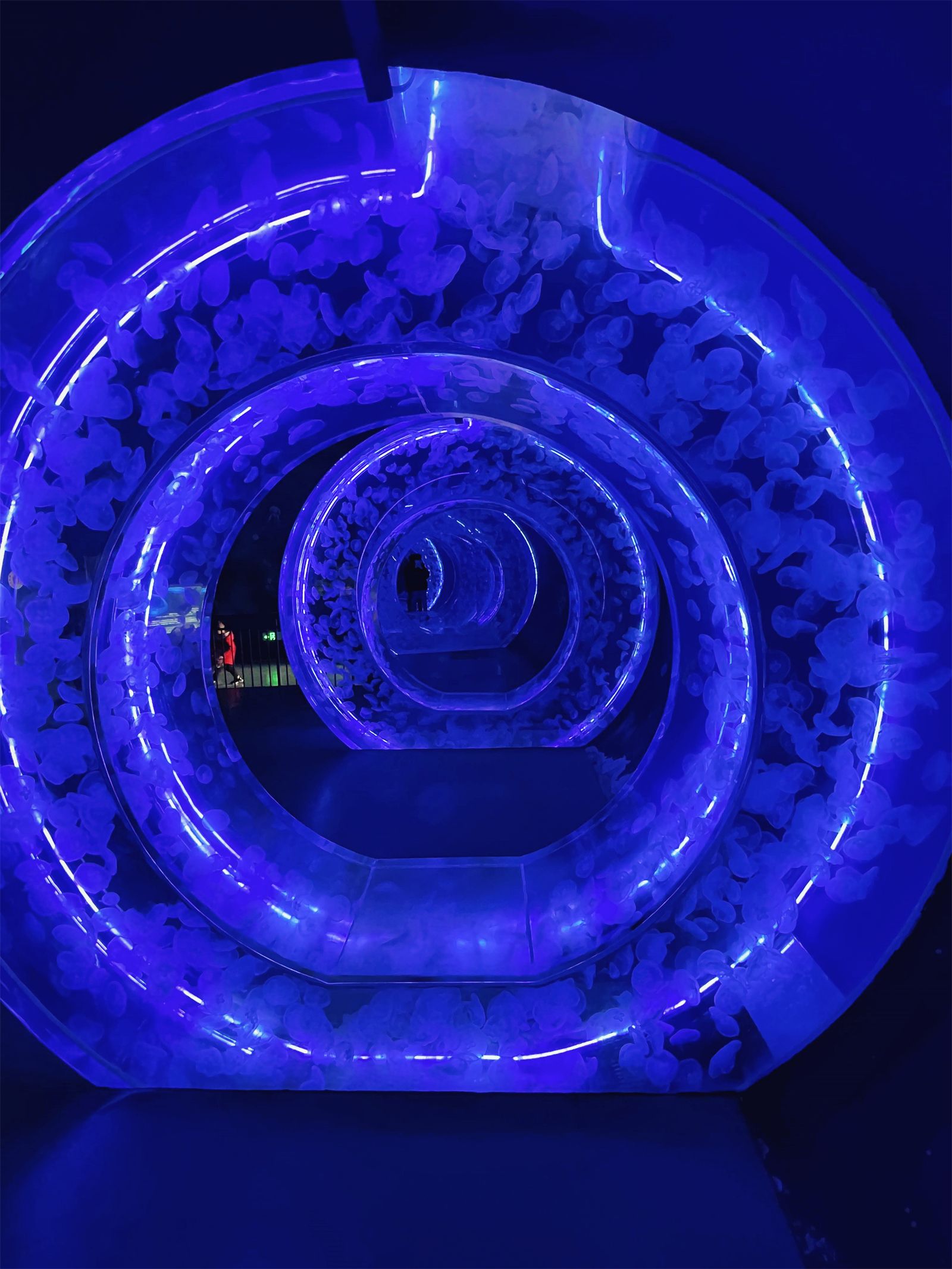 日照|日照旅游,日照短期旅游必看篇