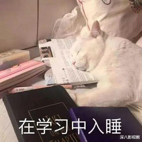 宋雨琦|他俩恋爱了？好像是意料之外情理之中啊