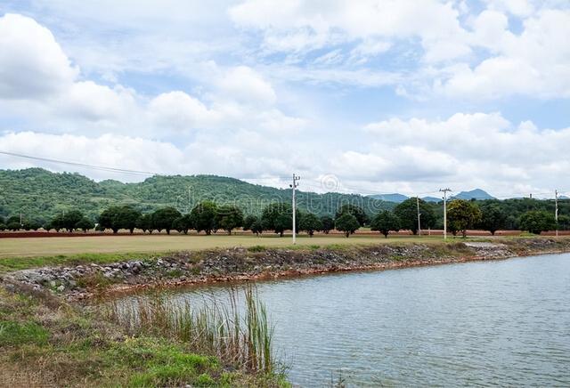 空军|雨季钓鱼小诀窍,时机、钓位轻松选择,鱼获多多,告别空军