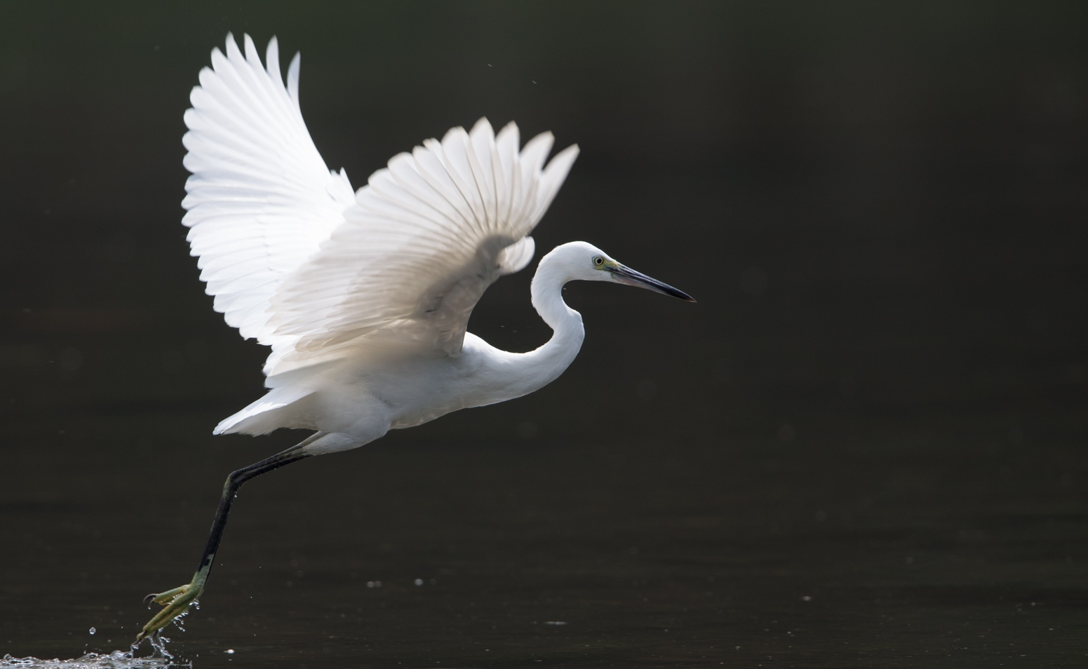 龙潭大峡谷|璧山区有什么好玩的地方吗?你还不知道吗?快来瞧瞧吧