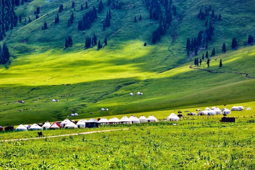 香港|草原季即将开启,如何选择最适合你的草原?