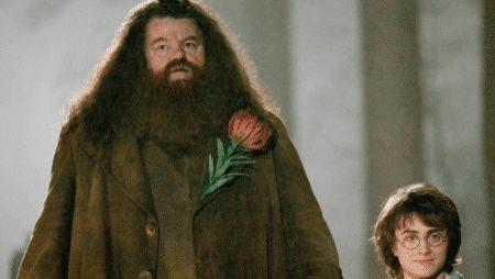 哈利·波特|一路走好！72岁哈利波特海格扮演者去世，罗琳悼念：他是个天才