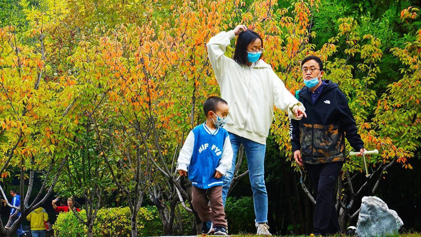 堵车|一场秋雨过后的太原！感受多彩秋色 享受假日时光