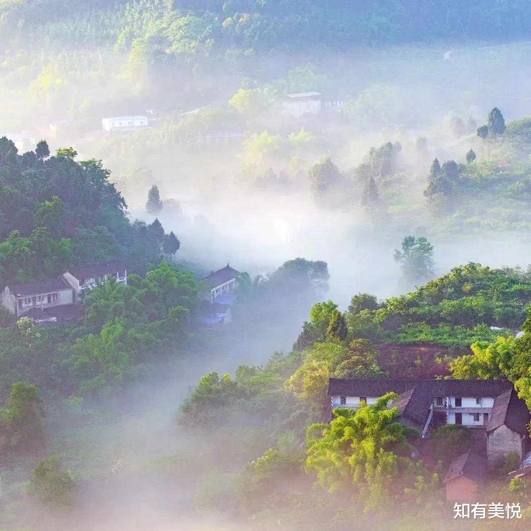 旅行|国内16个省级森林公园，城市的“绿色之肺”，你去过几个呢？