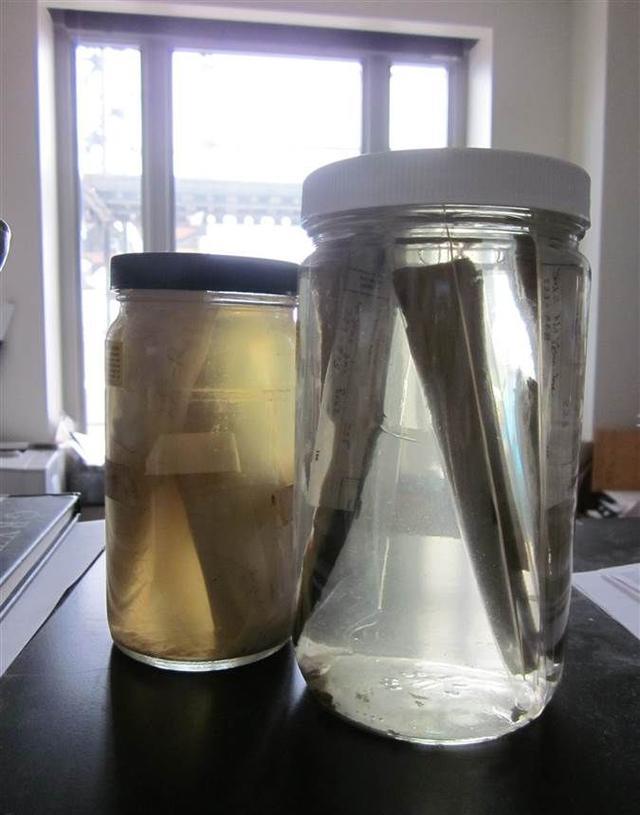鲸鱼全身都是宝,科学家连鲸鱼的耳屎都不放过,它的用途出人意料
