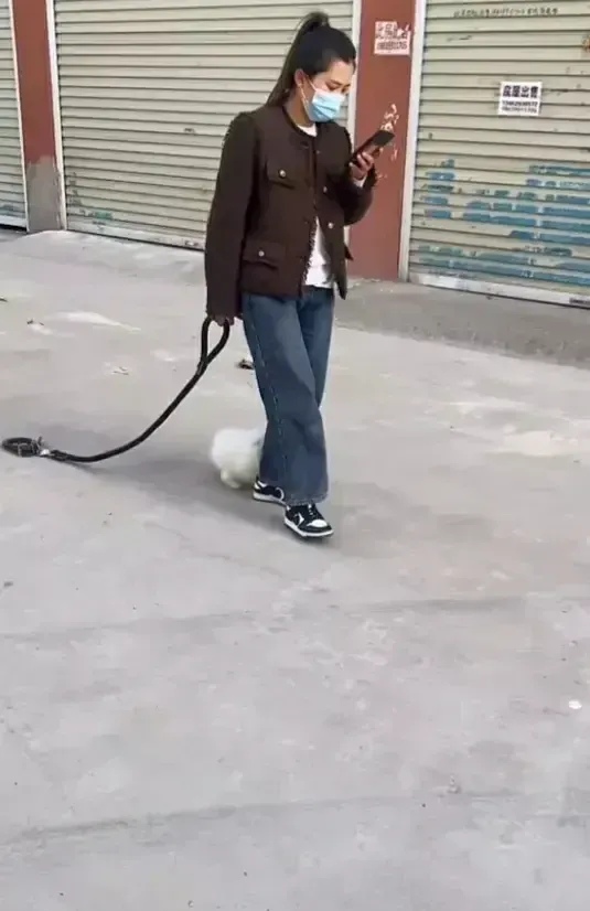 牧风芳华 女子边玩手机边遛狗，网友看到后：大姐，你这是遛绳呢