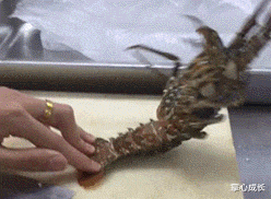 书法|“去领导办公室，看不懂的书法不要乱读，更不能笑！除非忍不住...”