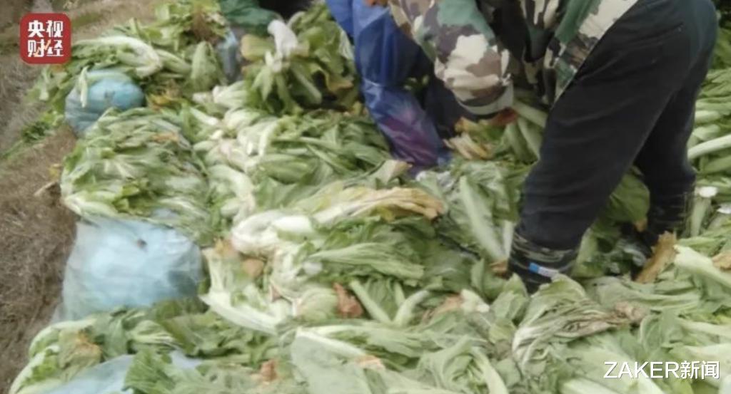 汪涵|老坛酸菜面翻车,汪涵微博被“爆破”,冤吗?