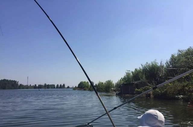 广东省|哪个省份钓友最幸福?他们闷声钓大鱼真的爽爆了