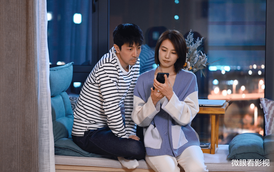 陈珊|《完美伴侣》：精英式人生，还要抱怨家庭工作两难全，过于凡尔赛