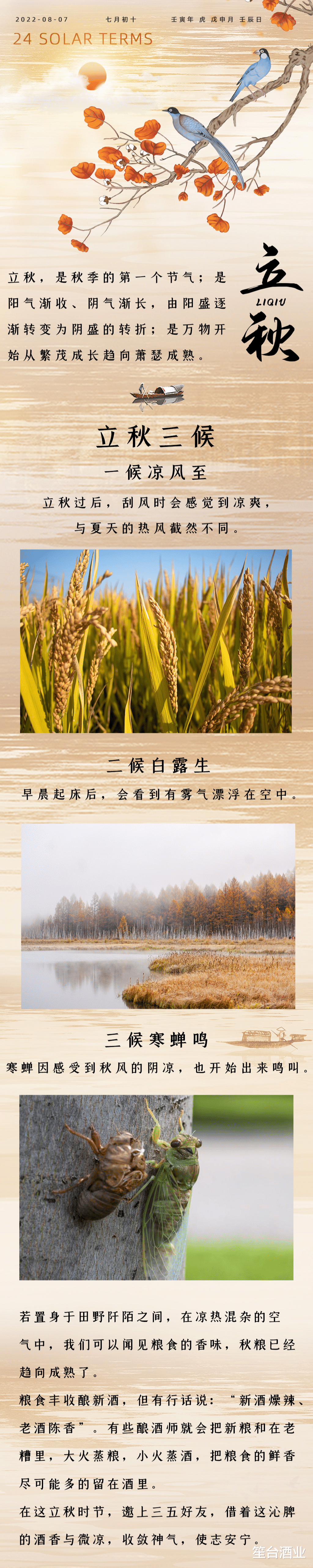 立秋丨暑气未消,凉风已至