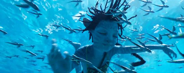 TVB|《阿凡达2》百元票价你能接受吗？是电影史上成本最高的电影之一