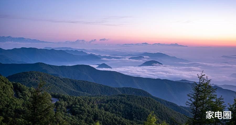 |今年家電市場的樂觀與悲傷同存在