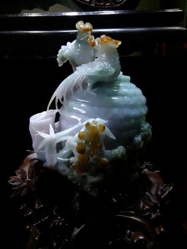 鹦鹉|鹦鹉殊姿致,鸾皇得比肩,翡翠鹦鹉的寓意你知道哪些呢?