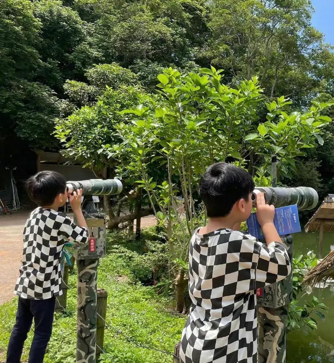 林志颖|林志颖发文庆祝双胞胎儿子生日!晒兄弟俩背影照,身形完全不同