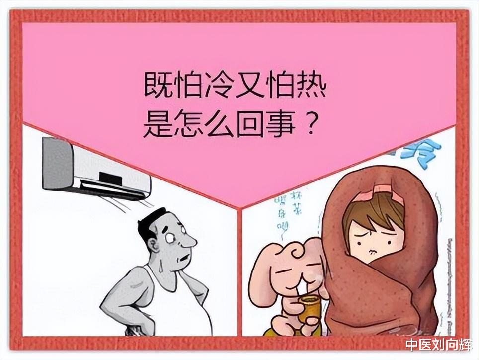 咳嗽|怕冷又怕热，补阳还是养阴？张仲景教你5味药，调和阴阳