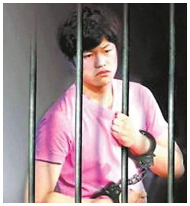 李双江儿子李天一:入狱十年刑期将满,回过头发现,全都有迹可循