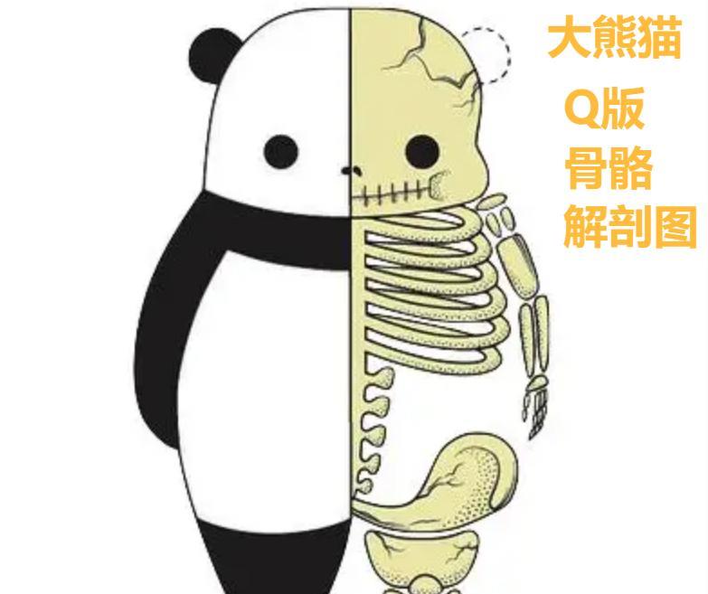 狮子和老虎,为何不吃大熊猫呢?是因为打不过吗?