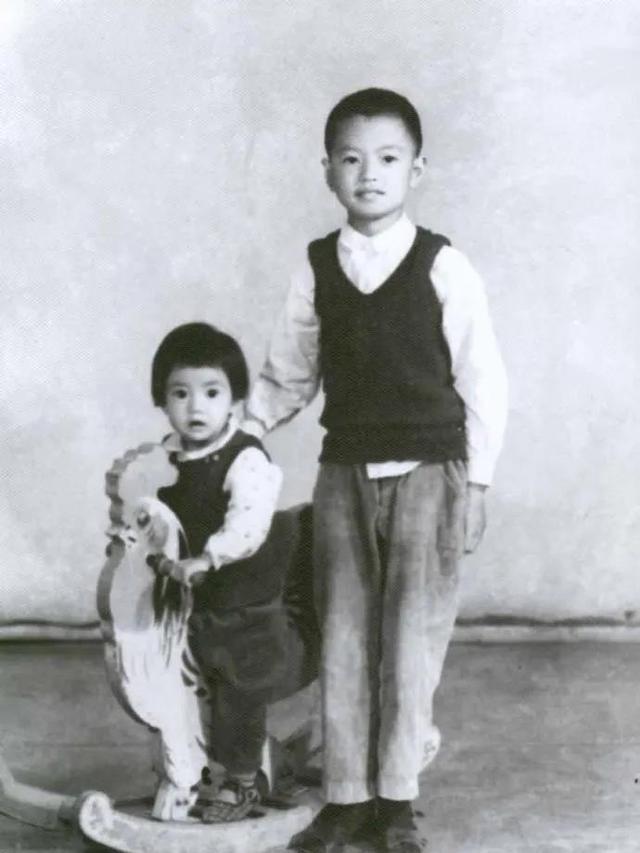 高圆圆|高圆圆:我与张亚东同居五年,天天计划结婚,却被徐静蕾横插一腿