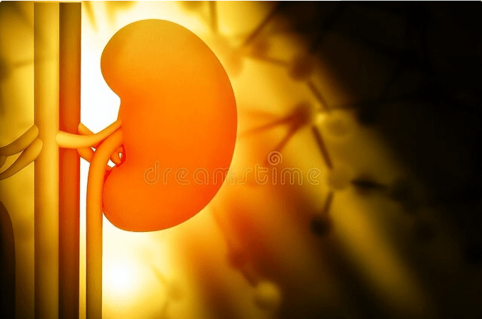 茶叶|尿蛋白降了涨陷入死循环?最让肾友头痛的3个问题,解决办法来了