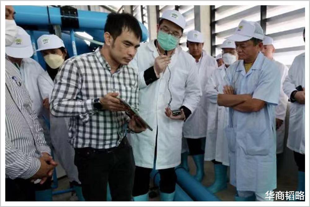 亚马逊|马云退休，一场安排已久的“阳谋”